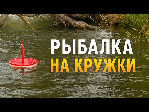 Видео: ПОЙМАЛ БОЛЬШЕ ВСЕХ! МОЯ ПЕРВАЯ РЫБАЛКА НА КРУЖКИ
