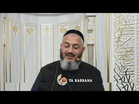 Видео: ИСА ХАЬЖА - Бобер Хьакъ Д1а Ца Даларх Лаьцна Хьехам ☝🏻