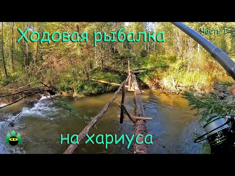 Видео: Ходовая рыбалка на хариуса (Часть 1)