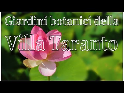 Видео: Италия:  Ботанический сад Виллы Таранто