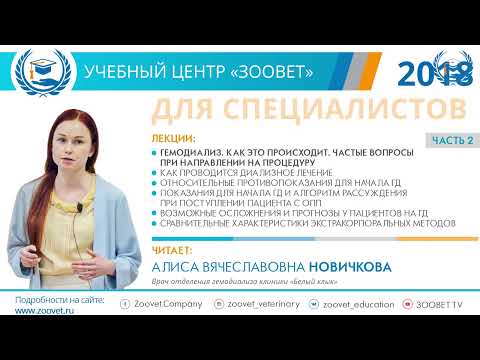 Видео: Новичкова А. В. в УЦ «Зоовет» | ч.1