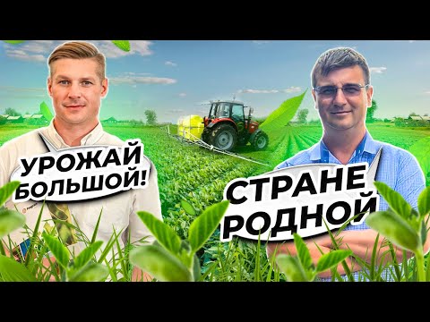 Видео: Как вырастить большой урожай? Обзор сортов сои от Русской Генетики. Часть 2.