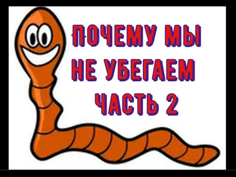 Видео: Почему черви в середине ящика, а не убегают!!!