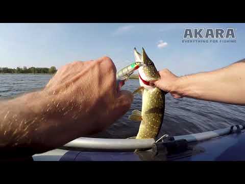 Видео: Рыбалка на реке Лиелупе. Ловим щуку на воблеры и силикон.