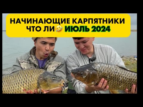 Видео: Учимся рыбачить на карпа🎣| Тэррибалка