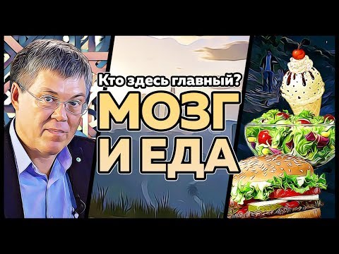 Видео: Мозг и еда | Кто здесь главный? [1 серия]