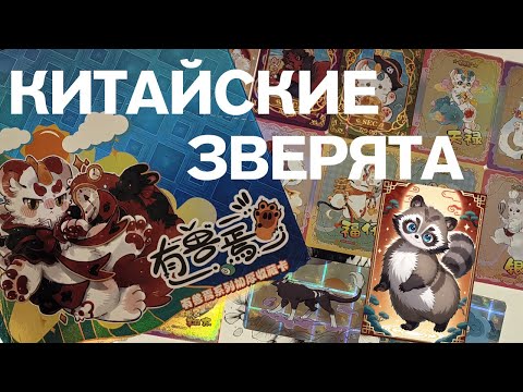 Видео: Распаковка коллекционных карточек: китайские зверята