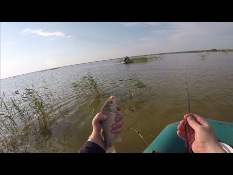 Видео: Удачная рыбалка на озере Уелги!