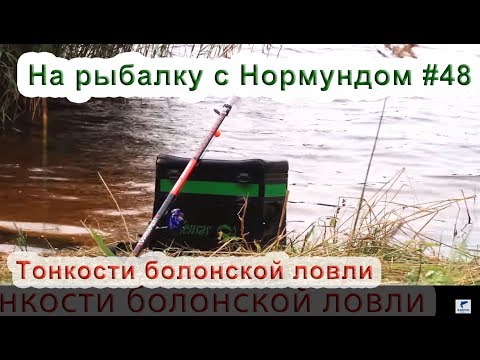Видео: Тонкости болонской ловли : На рыбалку с Нормундом #48