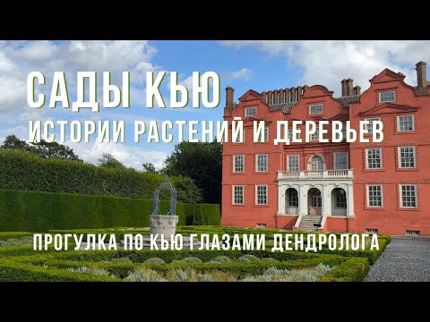 Видео: Сады Кью 🌿 Прогулка по Kew Gardens в Лондоне глазами дендролога | Истории растений и деревьев