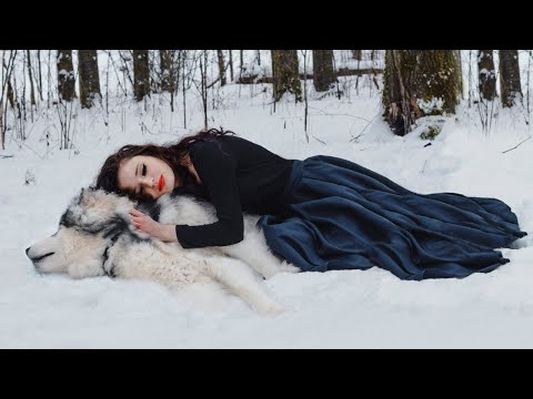 Видео: То, что сделал СТАРЫЙ ВОЛК, девушка будет помнить всю жизнь!