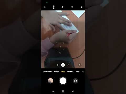 Видео: 30 октября 2025 г.