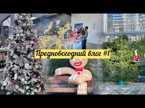 Видео: ПРАЗДНИЧНОЕ НАСТРОЕНИЕ🎄// О проблемах с бытовой техникой// Спонтанный выход в ресторан.