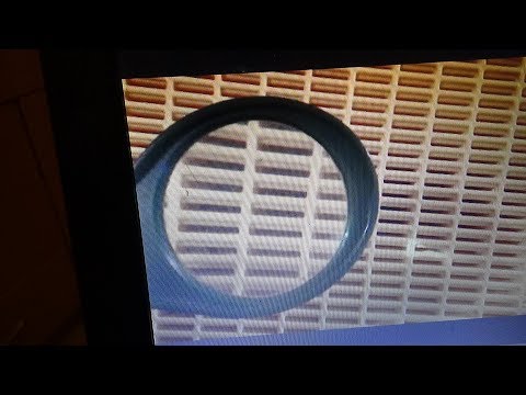 Видео: Жаль, не изучал французский...