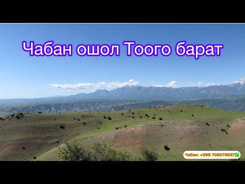 Видео: Кантип классты баспай жатасыз билбейм😁