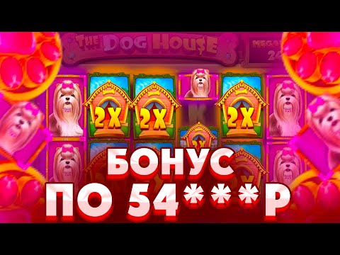 Видео: ПОЙМАЛ ДОРОГОЙ БОНУС СО СПИНА ПО СТАВКЕ 54***Р В THE DOG HOUSE MEGAWAYS/ ПОЙМАЛ ЛЮТЫЙ ЗАНОС ИЛИ 0???