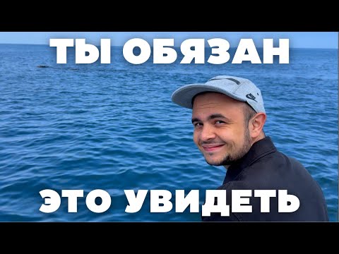 Видео: ПРОГУЛКА С КИТАМИ В КЕЙПТАУНЕ, САМОЕ УМИРОТВОРЯЮЩЕЕ ПУТЕШЕСТВИЕ В ЖИЗНИ