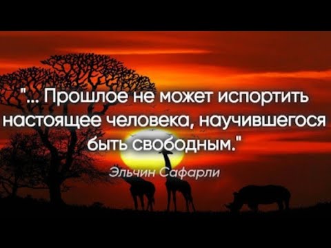 Видео: В чём причина  ваших неудач?