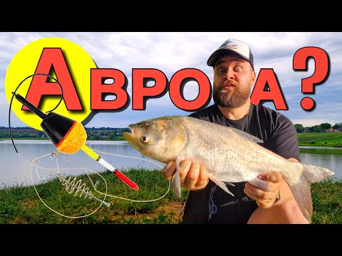 Видео: На це клює товстолоб ⁉️ Бюджетні снасті ловлять багато риби ‼️