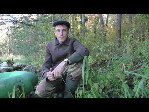 Видео: Карпы в бесхозном пруду: секретный эксперимент, 32 серия