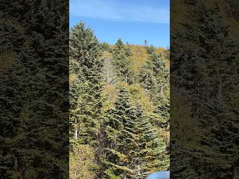 Видео: Ловим крайние деньки на Сахалине, а дальше новый этап жизни!