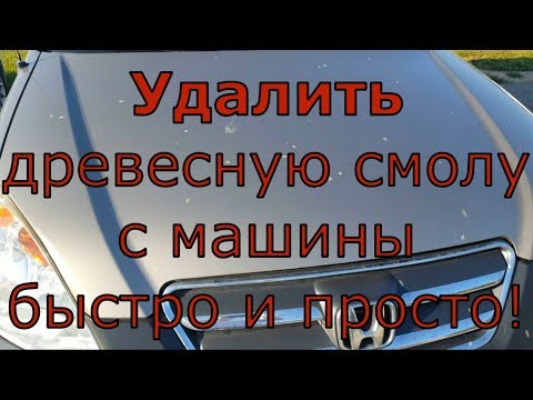 Видео: Удалить древесную смолу с машины просто! / how to remove tar from your car