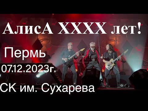 Видео: Группа АлисА ХХХХ лет. Пермь. СК им. Сухарева 07.12.2023г.