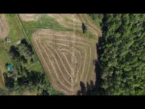 Видео: Сенокос Элэнкэ 2025г 