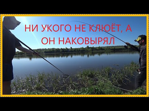 Видео: РЫБАЛКА НА ДОНУ, ВСЕ С БОЛТАМИ, А ОН НАЛОВИЛ, КАК ?