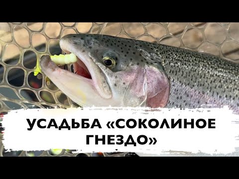 Видео: #19 ЛОВЛЯ ФОРЕЛИ НА РЕЗИНУ С ПОВЕРХНОСТИ. РЫБАЛКА НА ФОРЕЛЬ. БИГ ДЖУНИОР РУЛИТ