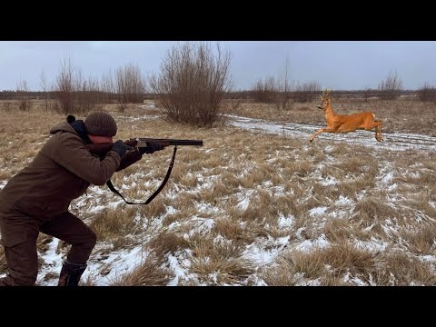 Видео: Чётко Выбил Косулю с Гладкоствола!!! Охота самотопом.