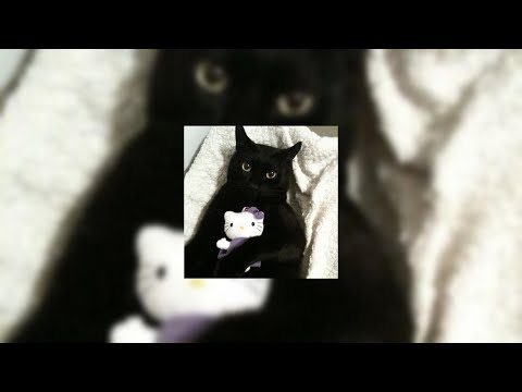 Видео: ✧ Песни для души ✧ Speed up ✧