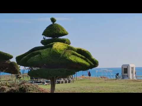 Видео: Томюк Арпачбакшиш замечательная. набережная.24.11.24