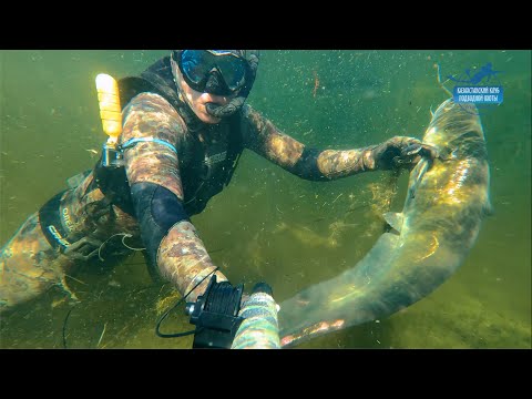 Видео: Подводная охота Казахстан, весна 2021 год