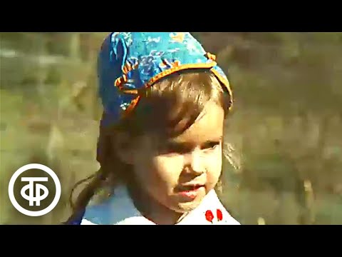 Видео: Лето на один день в Норильске. Время. Эфир 18 июля 1980