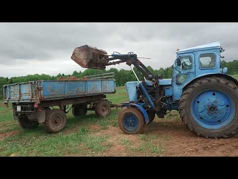 Видео: Погрузка песка на тракторе т 40 с усиленным мостом
