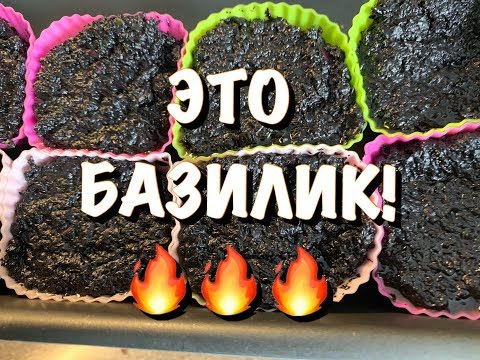 Видео: БАЗИЛИК для ГУРМАНОВ 👌НЕОБЫЧНАЯ ЗАГОТОВКА НА ЗИМУ!