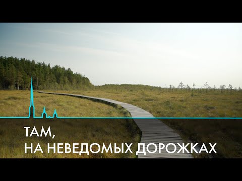 Видео: Экотропы Петербурга и Ленинградской области