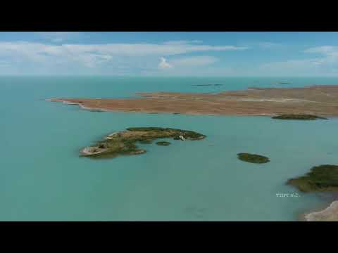 Видео: Сары-Шаган 2022