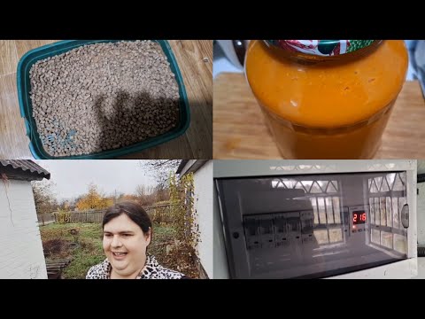 Видео: Если пирожок не поможет есть угроза что вы останетесь без видео 