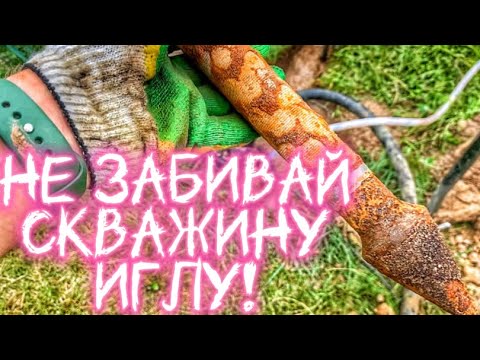 Видео: НЕ ЗАБИВАЙ АБИССИНСКУЮ ИГЛУ! ПОКА НЕ ПОСМОТРИШЬ ЭТО ВИДЕО!