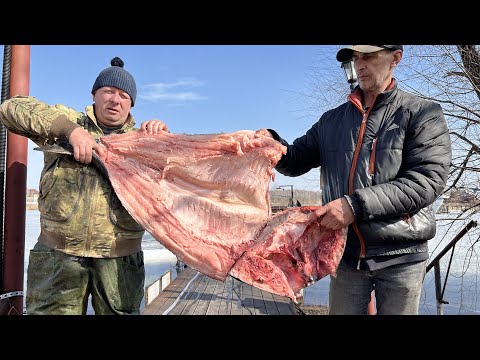 Видео: НЕВЕРОЯТНЫЕ ВКУСОВЫЕ КАЧЕСТВА ТОЛСТОЛОБИКА ! КРУПНАЯ РЫБА В ТАНДЫРЕ #рецепт #толстолобик #рыба