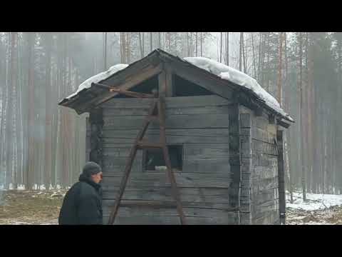 Видео: Сезон закончен, выезжаем из леса  ,,336,,