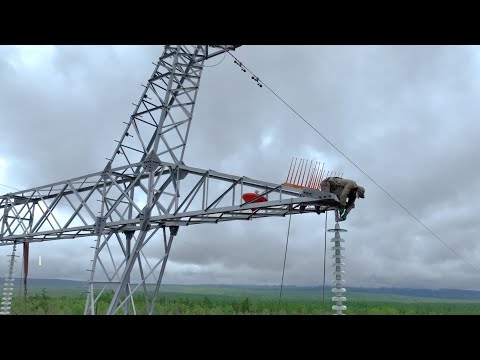 Видео: Перекладка проводов крайней фазы из раскаточных роликов в поддерживающие зажимы на опорах ПС500н-3