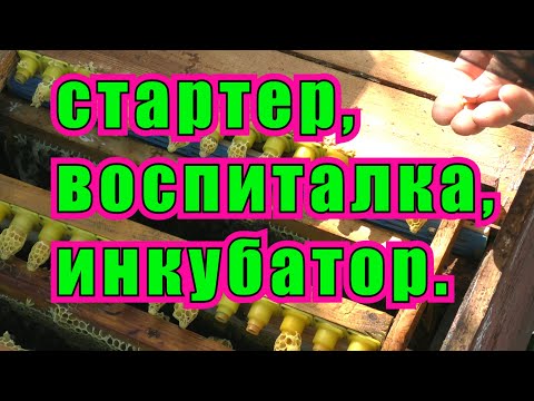 Видео: СТАРТЕР, ВОСПИТАЛКА, ИНКУБАТОР В ОДНОМ ФЛАКОНЕ.