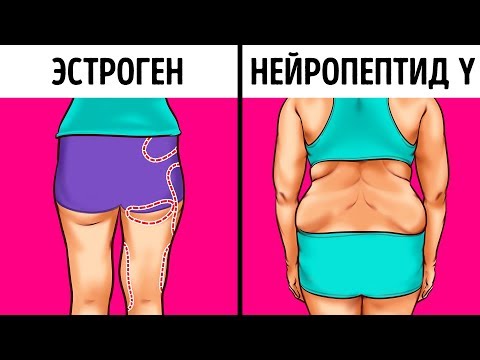 Видео: Как Перехитрить Гормоны, Отвечающие за Набор Веса