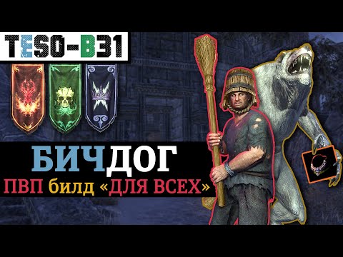Видео: 🐺 БИЧДОГ. Универсальный ПВП билд на любой класс. (БГ, Одна шмотка, Оборотень) TESO(2024)