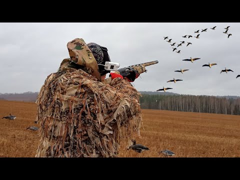 Видео: ВОТ ЧТО ТВОРИТ МАСКИРОВКА! ВЕСЕННЯЯ ОХОТА НА ГУСЯ! КУДА Я ДЕВАЮ МЯСО!