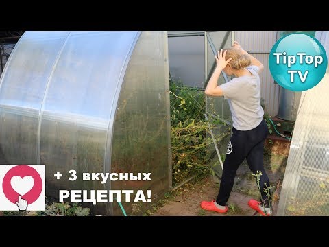 Видео: 3 МЕСЯЦА НЕ БЫЛА НА ДАЧЕ❤️ВСЁ РАЗГРЕБАЮ И ГОТОВЛЮ ТРИ ВКУСНЫХ БЛЮДА