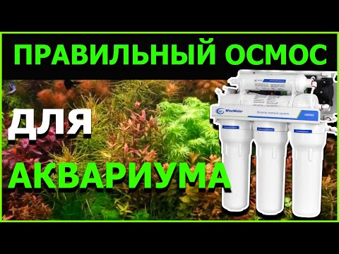 Видео: ПРАВИЛЬНЫЙ ОСМОС ДЛЯ АКВАРИУМА, ЧТО ЭТО ЭТО ТАКОЕ?КАК ПОЛУЧИТЬ ОСМОС?